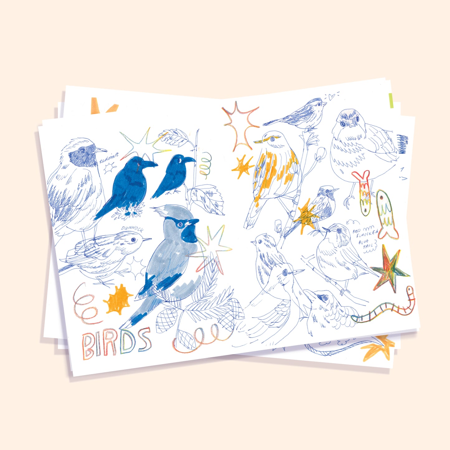 Sketchbook Postcard Print (Set of 3 or Individual)