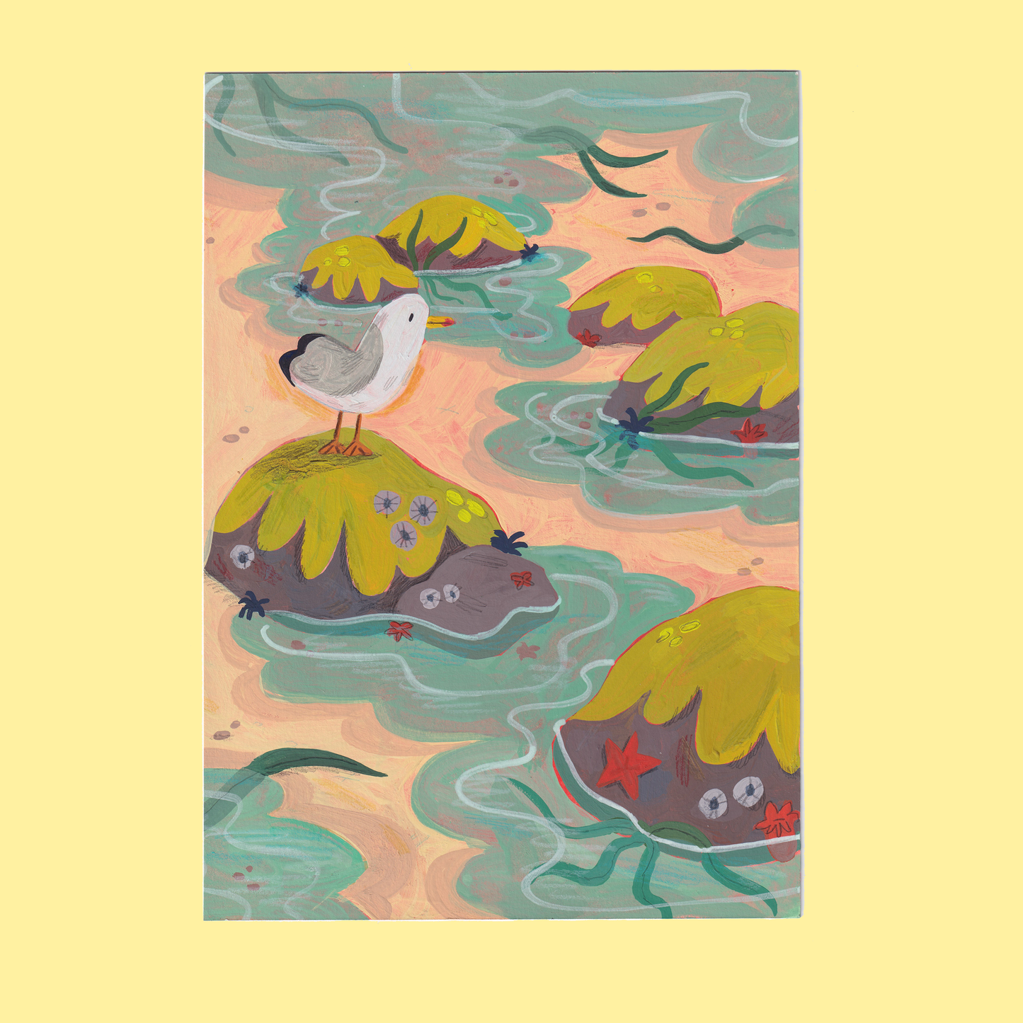 'Seagull' Original